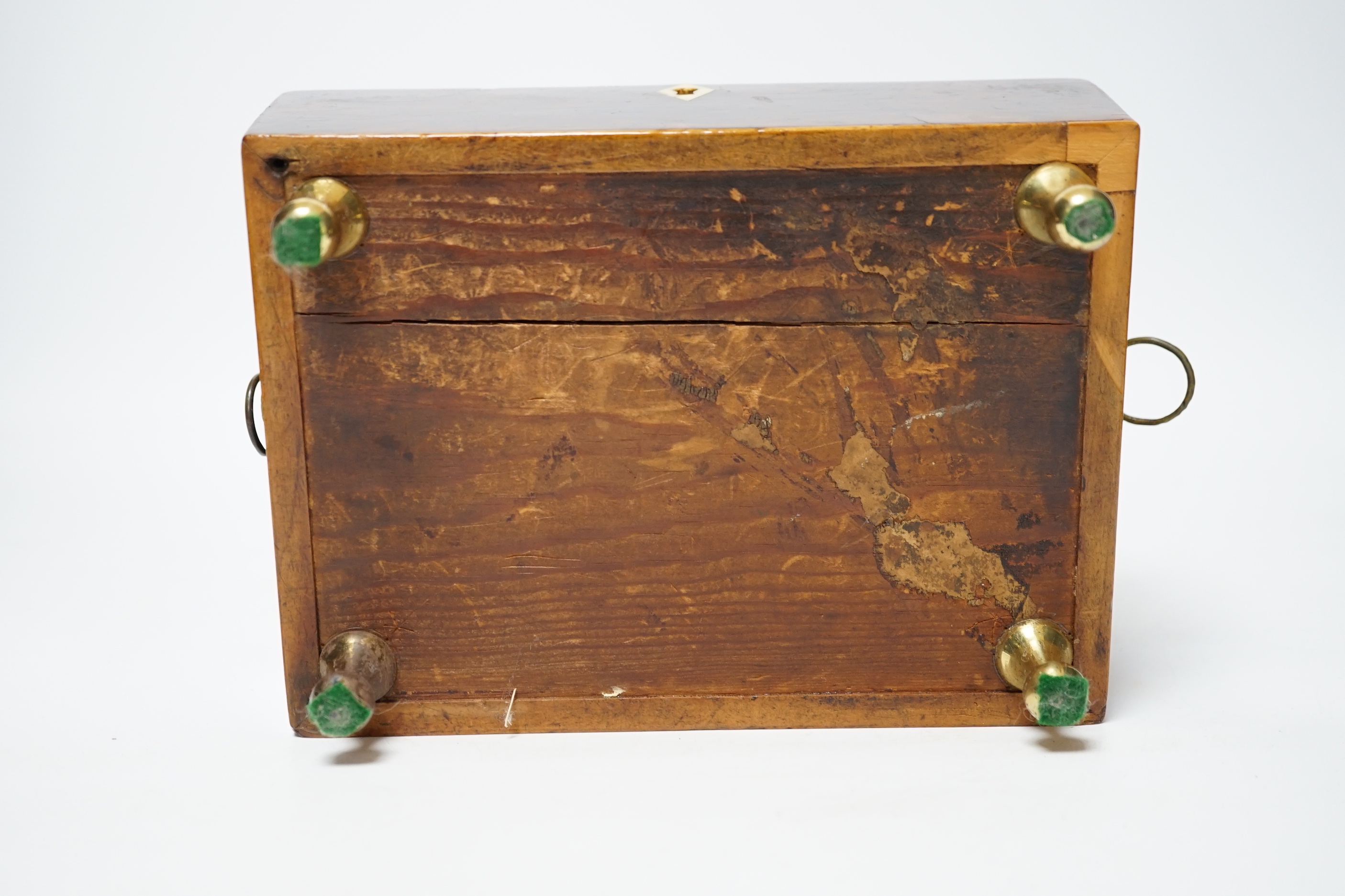 A Regency banded burr yew tea caddy, Ivory escutcheon, 20cm wide CITES Submission reference 4NYKHDBU